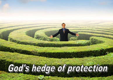 hedge-of-protection-sm
